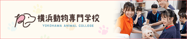 横浜動物専門学校