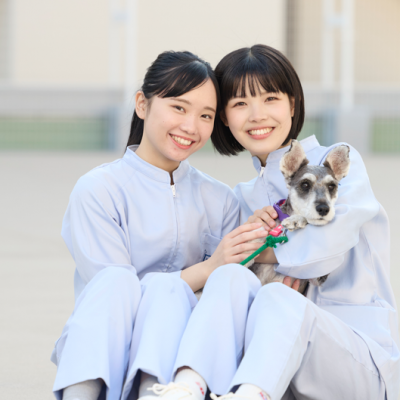 即戦力となる力を身に着けた愛玩動物看護師をめざそう！