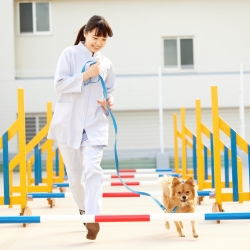 ワンちゃんと楽しむトレーニング