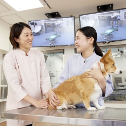 5/10(土) 診察中の動物を抱えてみよう