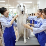 大阪ペピイ動物看護専門学校 6月8日のオープンキャンパス・体験入学 6/8,6.8