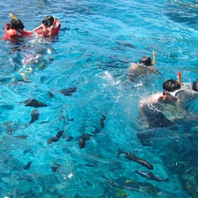 青く透き通る海!