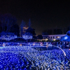 東京ミッドタウンのイルミネーション