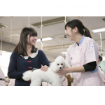東京愛犬専門学校 9月20日のオープンキャンパス・体験入学 9/20,9.20