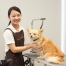 専門学校 ちば愛犬動物フラワー学園の評判（卒業生）