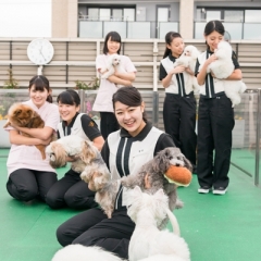屋上ドッグランでは、天気のいい日にお散歩☆