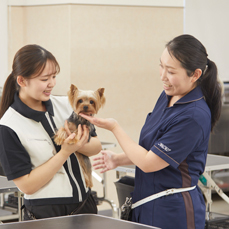 先生からのメッセージ