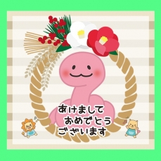 新年あけましておめでとうございます☆