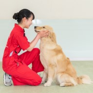 訓練