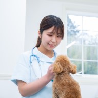 動物看護