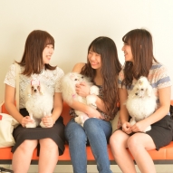 担当犬といつも一緒