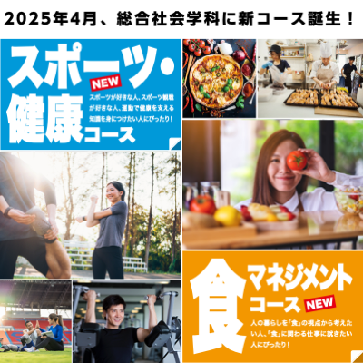 総合社会学科