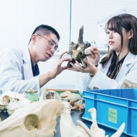 自然科学科