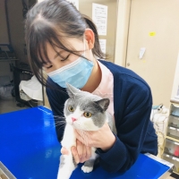 宮地彩恵さん（兵庫県立舞子高校 出身）グループ校 卒業生 評判・口コミ