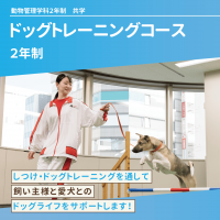 ドッグトレーニングコース