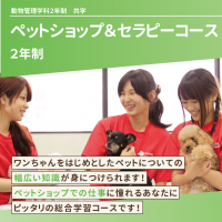 ペットショップ＆セラピーコース