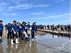 地元企業とのさまざまな連携。三浦海岸では地引網漁の体験をします。