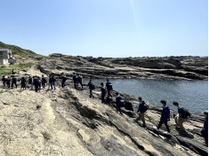 環境や生態についても学習。学校近くの城ヶ島では環境や水生生物について実地授業を行います。