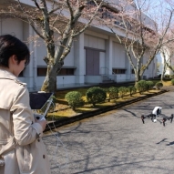 ドローンはどこでも飛ばせるわけではなく、岐阜女子大学はドローン飛行可能エリアです。飛行や操縦の練習がいつでもできます。