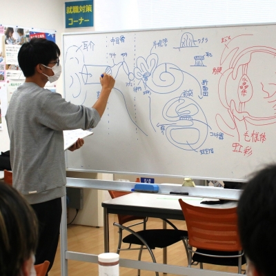 本学独自のLTD学修で毎年高い国家試験合格率を達成