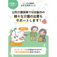 損害保険ジャパン『損害保険商品チラシ』デザイン！