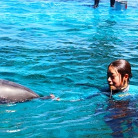 水族館・ドルフィン学科