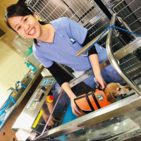 動物看護師・リハビリ介護学科