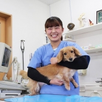 動物看護師・美容学科