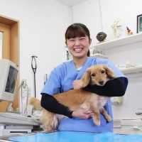 総合動物看護・大学科