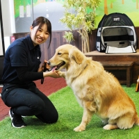 ドッグトレーニング学科