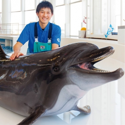 水族館・ドルフィン学科