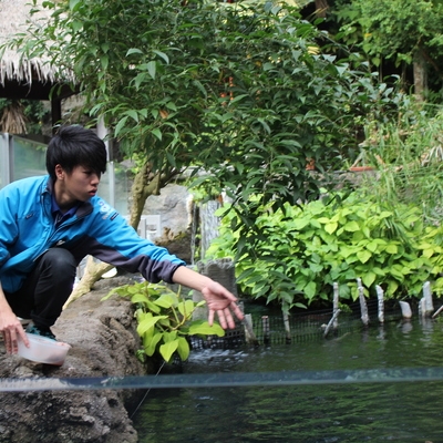 海洋生物・自然環境・情報大学科