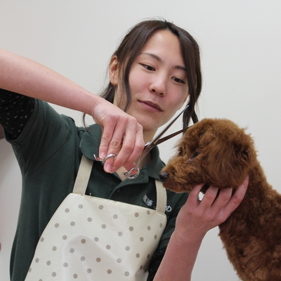 動物看護師・美容学科