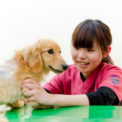 総合動物看護・大学科