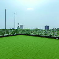 屋上広場